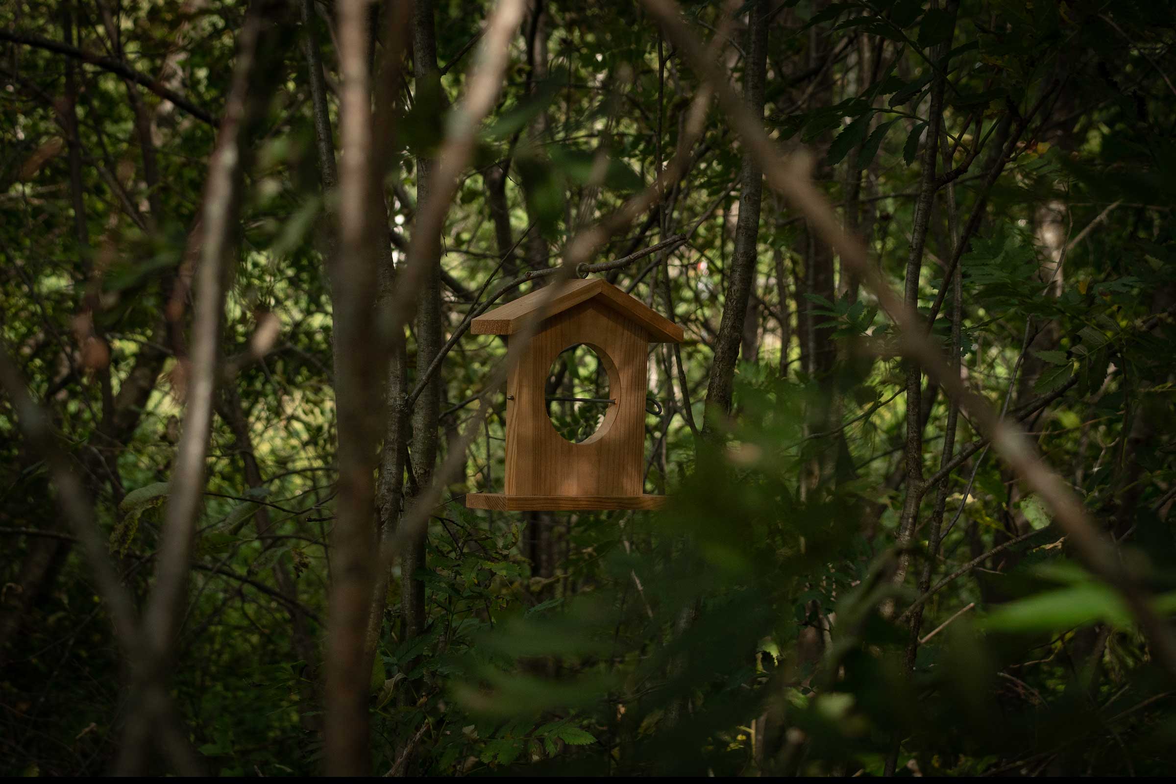 Fuglekasse som henger i skogen ved opplevelsesstien