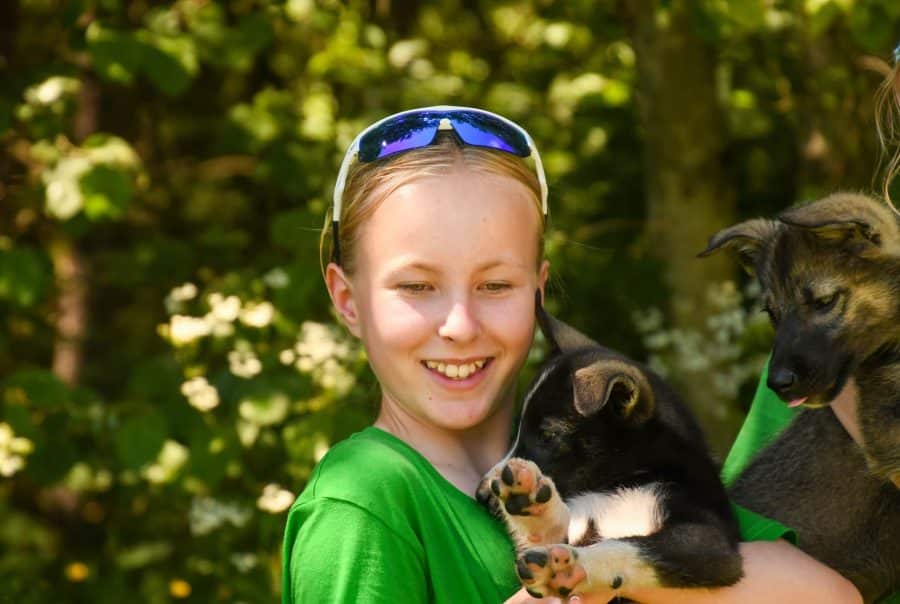 Barn koser med hundevalper under aktivitet på sommerleir i Sjoa.